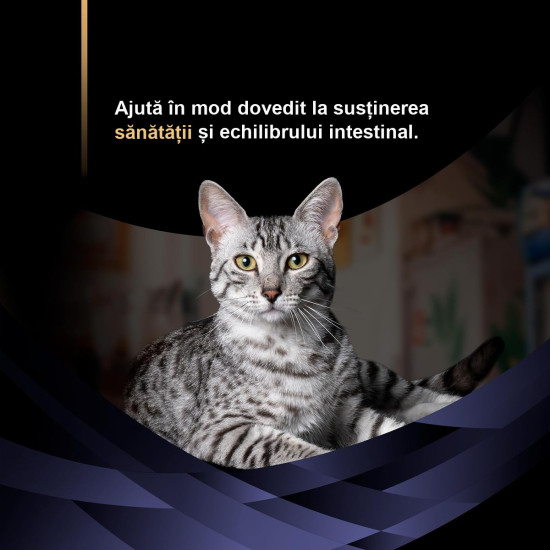 Purina Pro Plan Feline FortiFlora – Supliment Probiotic pentru Pisici – 30 Plicuri x 1 g